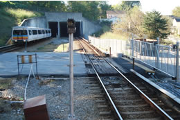 Marta
